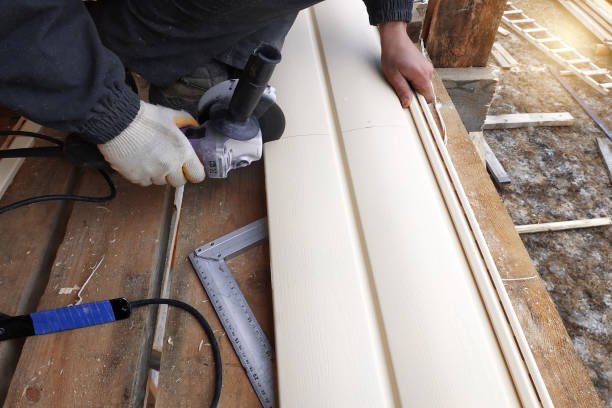 Best Siding Painting and Refinishing  in St Peters, MO